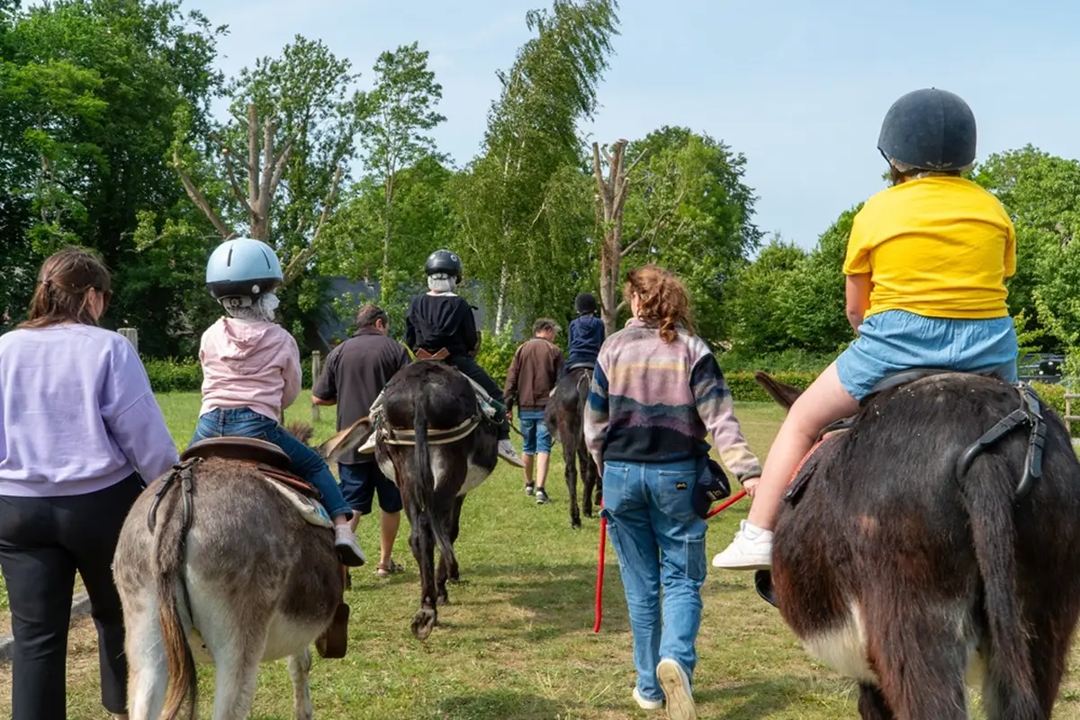 Randonnée accompagnée avec 1 âne