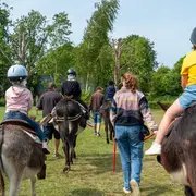 Randonnée accompagnée avec 1 âne