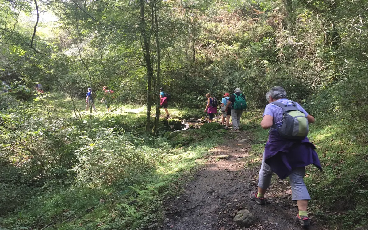 Randonnée accompagnée avec Ramondia : Ibanteli