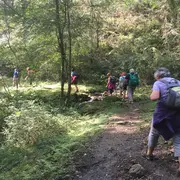 Randonnée accompagnée avec Ramondia : Ibanteli