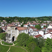 Randonnée accompagnée avec Ramondia : Promenons-nous dans les bois