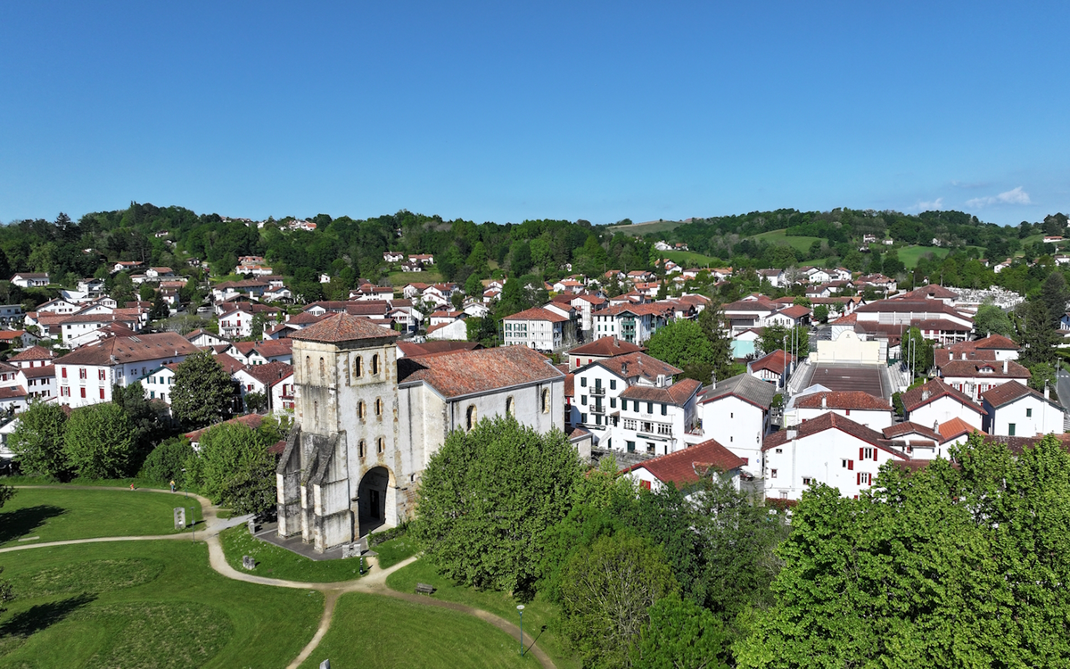 Randonnée accompagnée avec Ramondia : Promenons-nous dans les bois