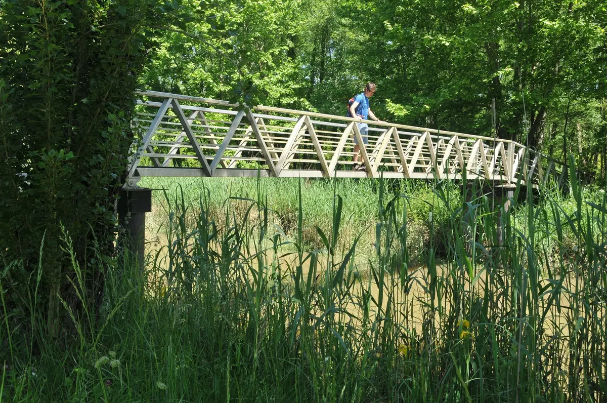 Randonnée accompagnée CAPB : Bartas de l'Ardanavy