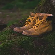 Randonnée accompagnée CPIE : La Fauvette pitchou 