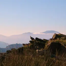 Randonnée accompagnée Mendi Gaiak : sur les traces des vautours
