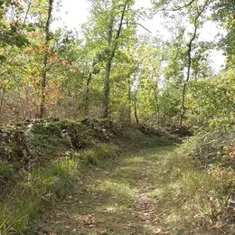 Randonnée active