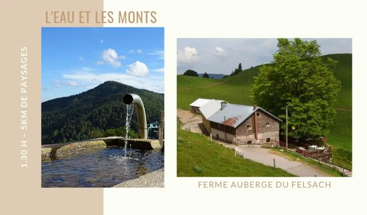 Randonnée autour de l'auberge du Felsach