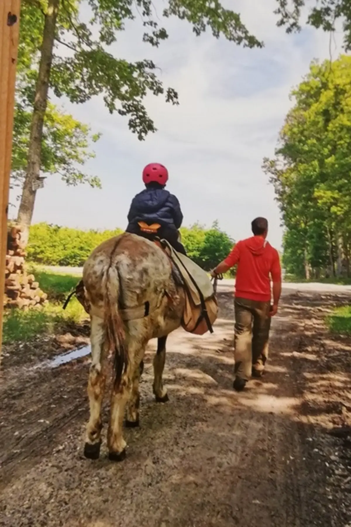 Randonnée avec les ânes, en étant accompagné, 3 jours