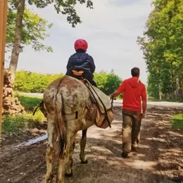 Randonnée avec les ânes, en étant accompagné, 3 jours