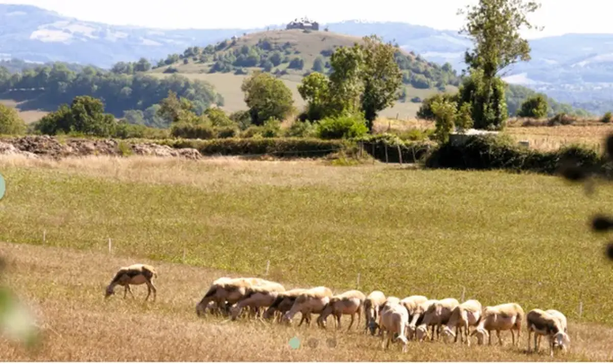 Randonnée avec les Caminaires de l'Olt al Dourdou : Gabriac