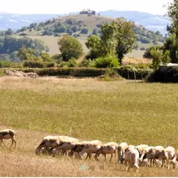 Randonnée avec les Caminaires de l'Olt al Dourdou : Gabriac
