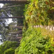 Randonnée bivouac en forêt d'Halatte