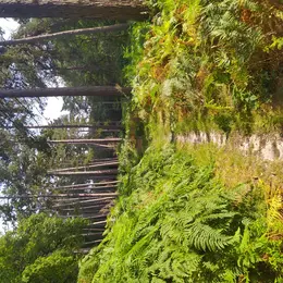Randonnée bivouac en forêt d'Halatte