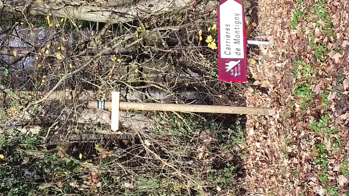 Randonnée Boucle de la Cense