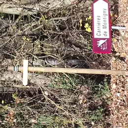 Randonnée Boucle de la Cense