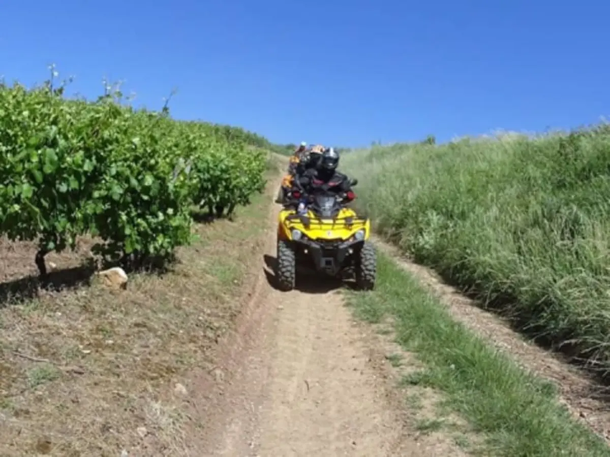 Randonnée Buggy à Couches dans les vignobles bourguignons