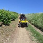 Randonn&eacute;e Buggy &agrave; Couches dans les vignobles bourguignons