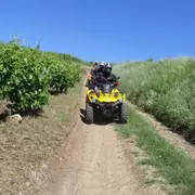 Randonnée Buggy à Couches dans les vignobles bourguignons