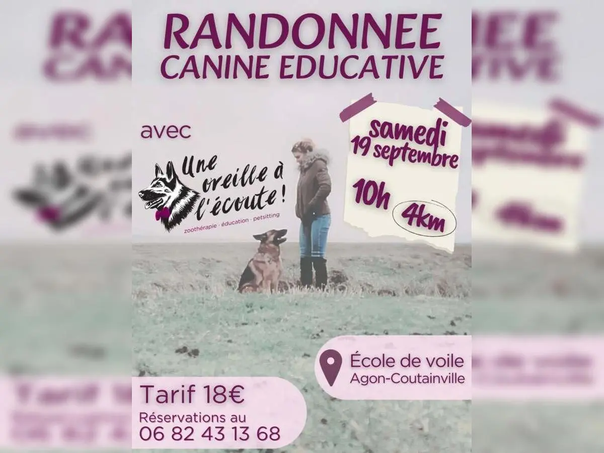 Randonnée canine éducative
