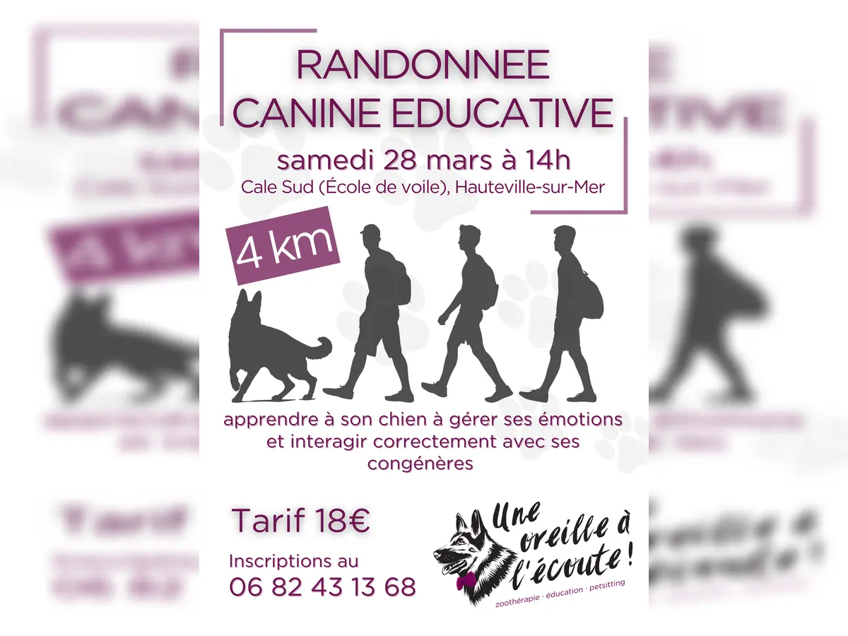 Randonnée canine éducative