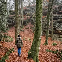 Randonnée CAP Chambon - Toulx ste Croix - 8 km