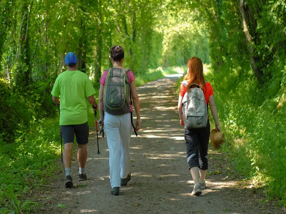 Randonnée chantée à St-Denis-Maisoncelles
