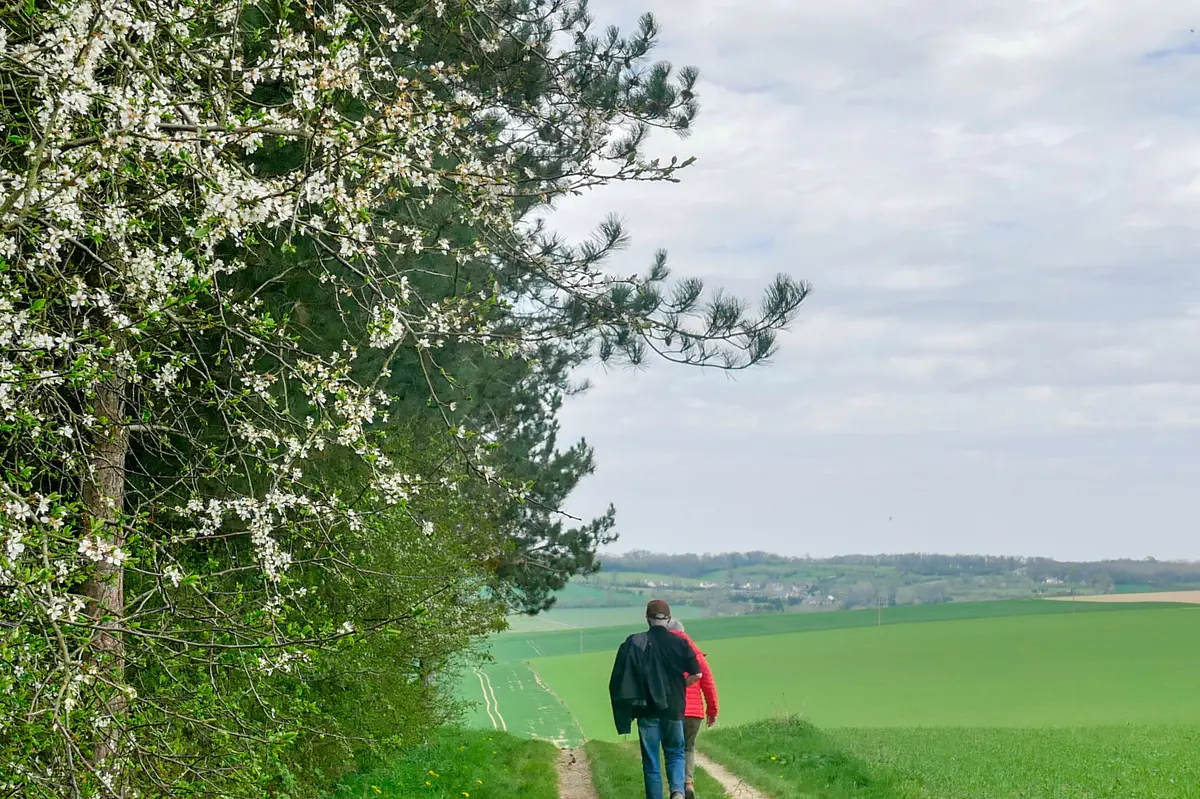 Randonnée châtaignes à Sainte Marie Laumont