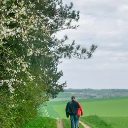 Randonnée châtaignes à Sainte Marie Laumont