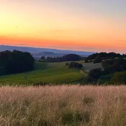 Randonnée Cheval au crépuscule dans le Clunisois