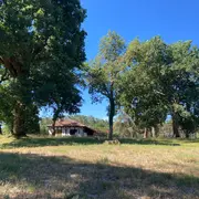 Randonnée commentée «Histoires de bois et de forêt»