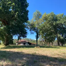 Randonnée commentée «Histoires de bois et de forêt»