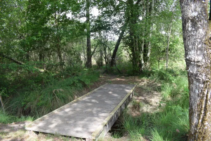 Randonnée commentée  «Histoires de forêt et d’eau»