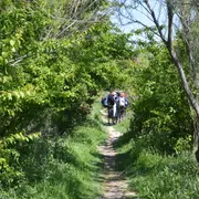 Randonnée commentée : La petite Camargue marignanaise