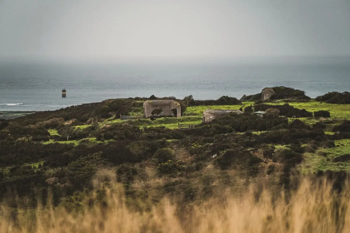 Randonnée commentée : les chemins de la Liberté
