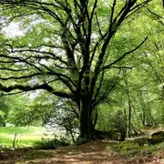Randonnée commentée : Terres de légendes
