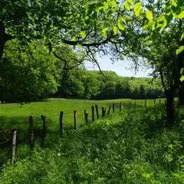 Randonnée dans la fraîcheur du matin Sauveterre - Les Cayroux - Les Escourgats
