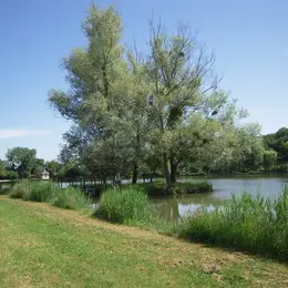 Randonnée dans les communes à Pleumartin