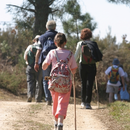 Randonnée dans les communes à Thuré