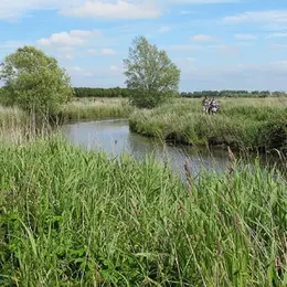 Randonnée dans les marais des Ponts d'Ouve