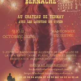 Randonnée  de la bernache : randonneurs, cavaliers, attelages et VTT