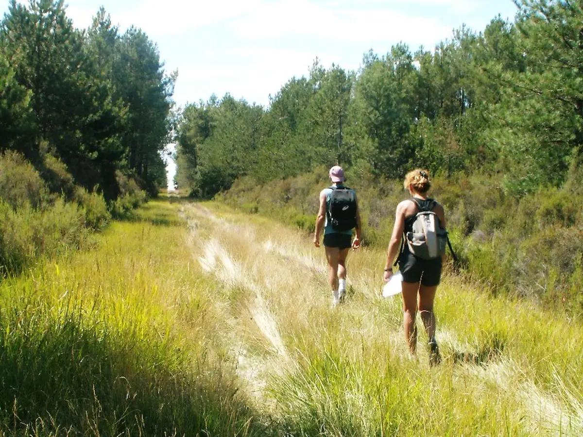 Randonnée de la Brenne