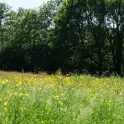 Randonnée de printemps