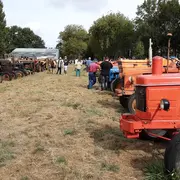 Randonnée de tracteurs anciens