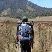 Randonnée découverte de la Réserve Naturelle Nationale d'Arjuzanx