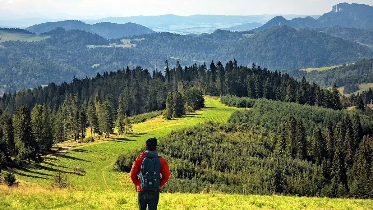 Randonnée découverte de la Réserve Naturelle Nationale d'Arjuzanx