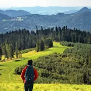 Randonnée découverte de la Réserve Naturelle Nationale d'Arjuzanx