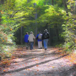 Randonnée découverte de la Réserve Naturelle Nationale d'Arjuzanx