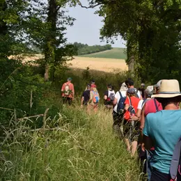 Randonnée des Petites Herbes