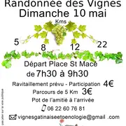 Randonnée des Vignes