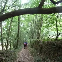 Randonnée douce